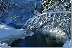 Vinter 4